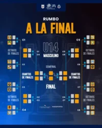 Copa del rey