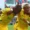 Mamelodi Sundowns Football Club