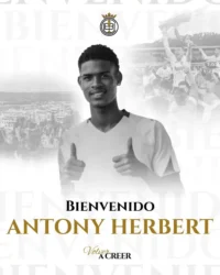 herbert