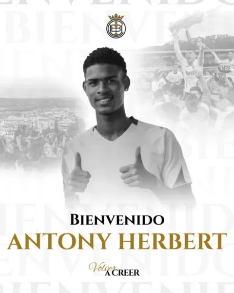 herbert