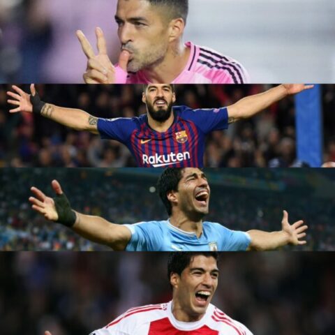 Los 600 de Suárez
