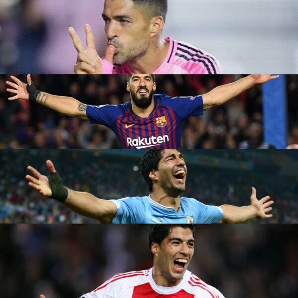 Los 600 de Suárez