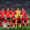 Selección de Inglaterra (Photo by Ryan Pierse/Getty Images)